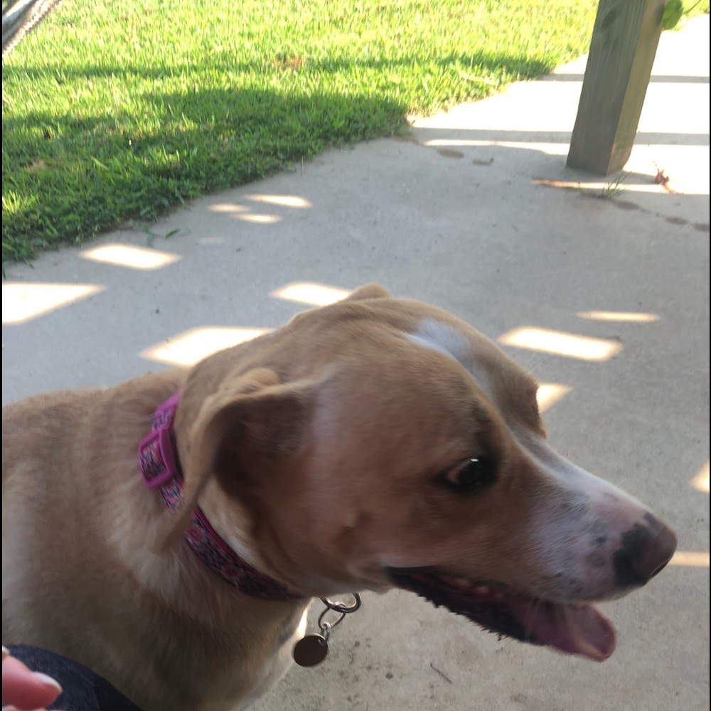 Meet your Posher, Caroline